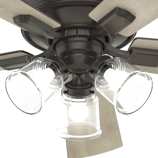 The Ceiling Fans by Hunter - Image 37