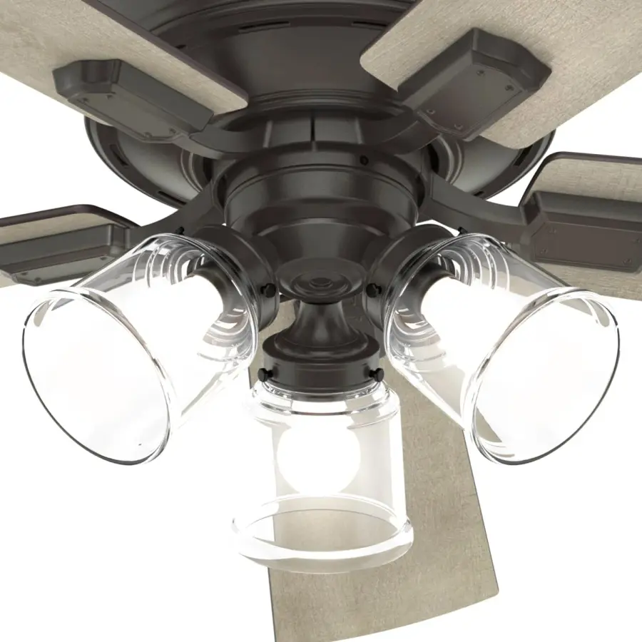 The Ceiling Fans by Hunter - Image 37
