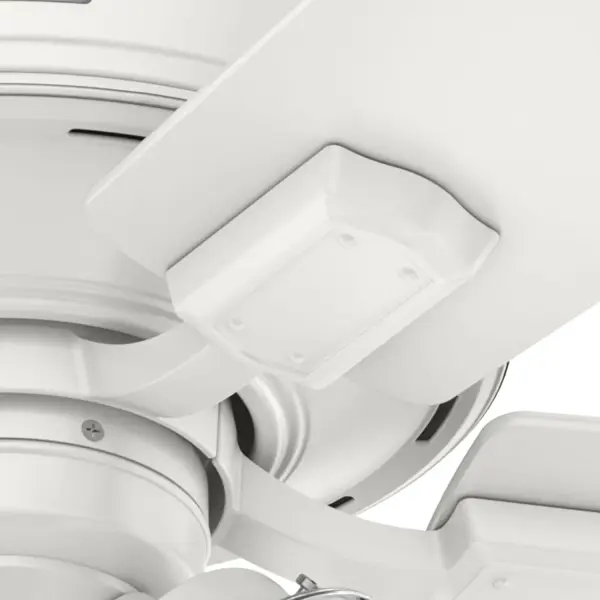The Ceiling Fans by Hunter - Image 38