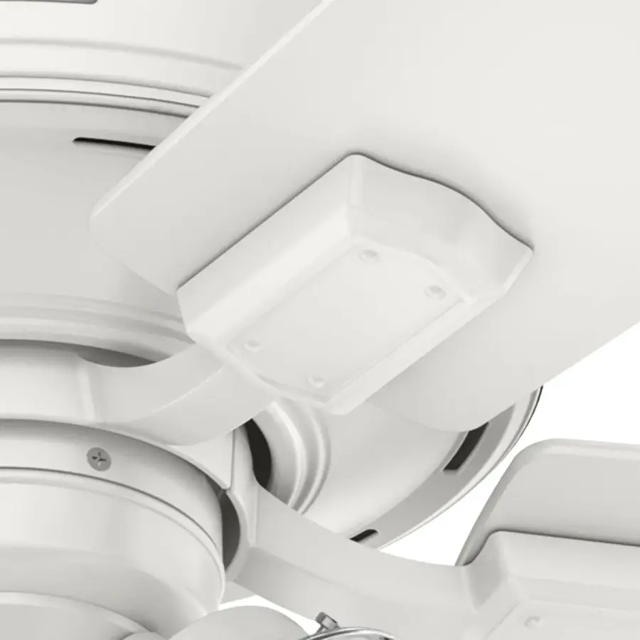The Ceiling Fans by Hunter - Image 38