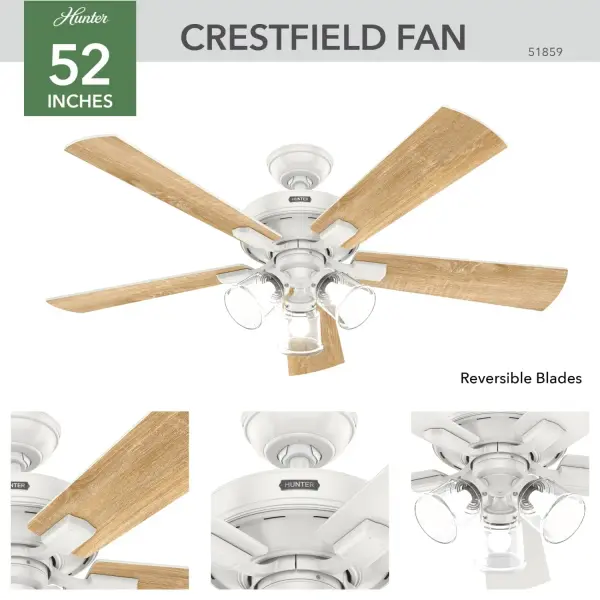 The Ceiling Fans by Hunter - Image 5
