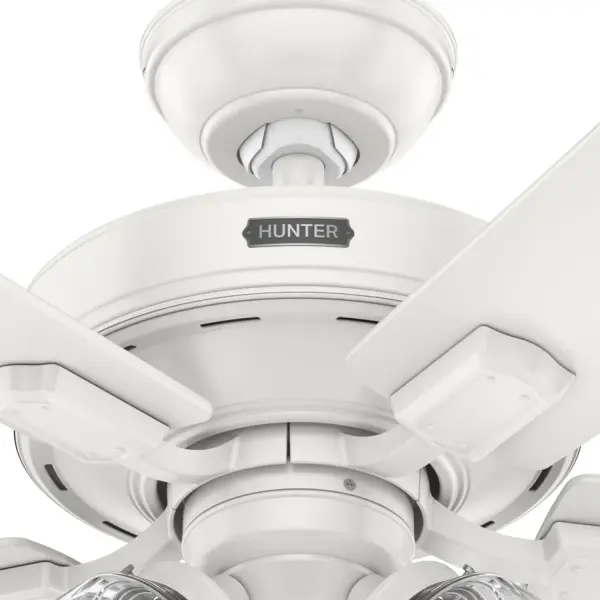 The Ceiling Fans by Hunter - Image 42