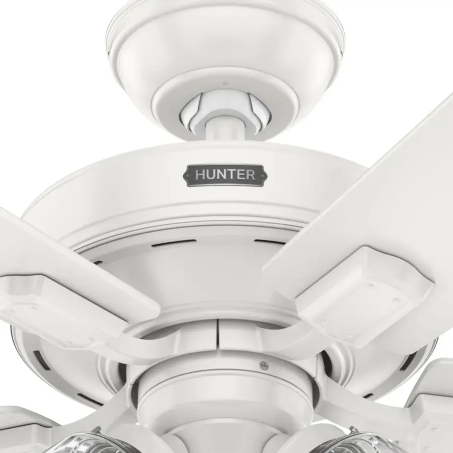 The Ceiling Fans by Hunter - Image 42