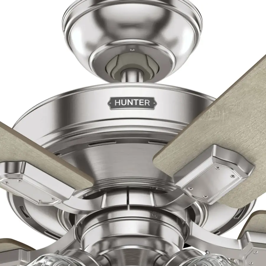 The Ceiling Fans by Hunter - Image 43
