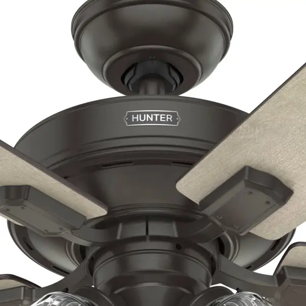 The Ceiling Fans by Hunter - Image 45