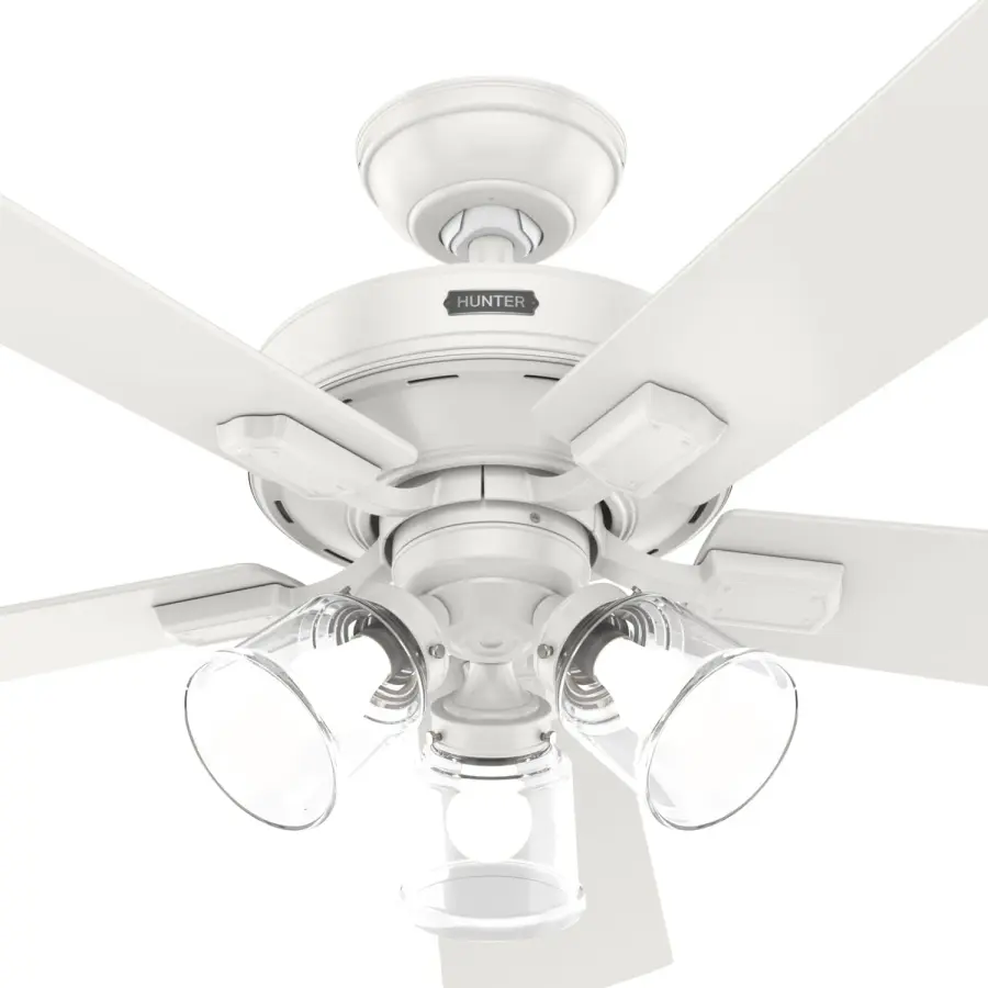 The Ceiling Fans by Hunter - Image 46