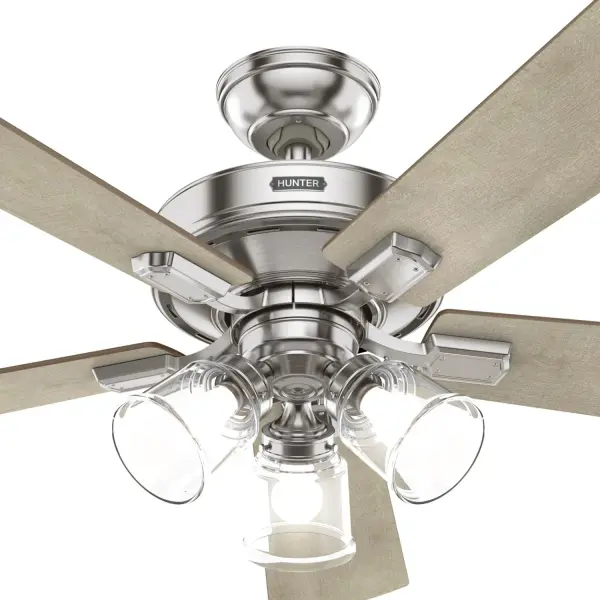 The Ceiling Fans by Hunter - Image 47