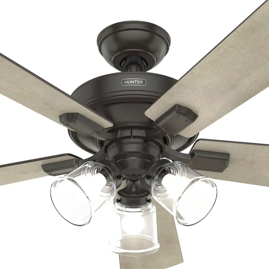 The Ceiling Fans by Hunter - Image 49
