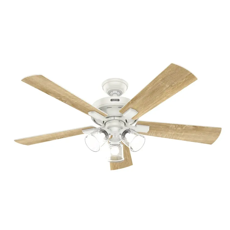 The Ceiling Fans by Hunter - Image 50