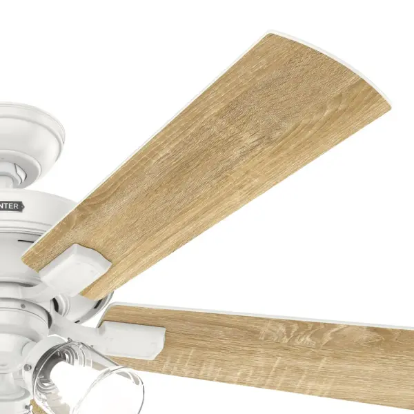The Ceiling Fans by Hunter - Image 58