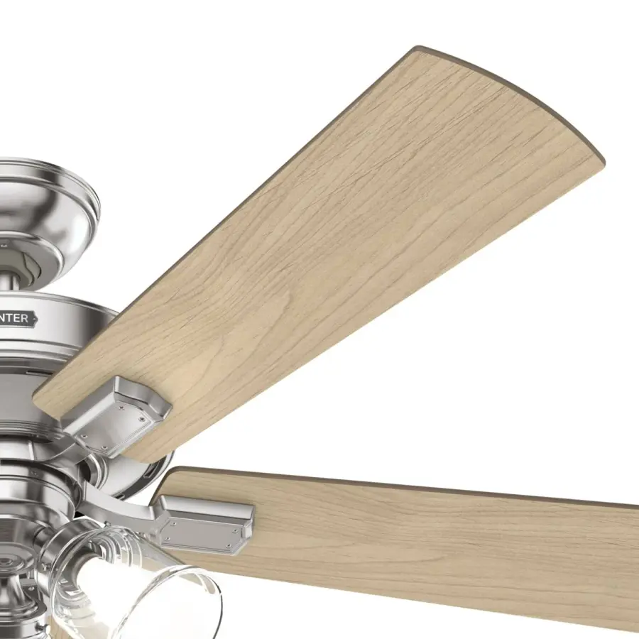 The Ceiling Fans by Hunter - Image 59