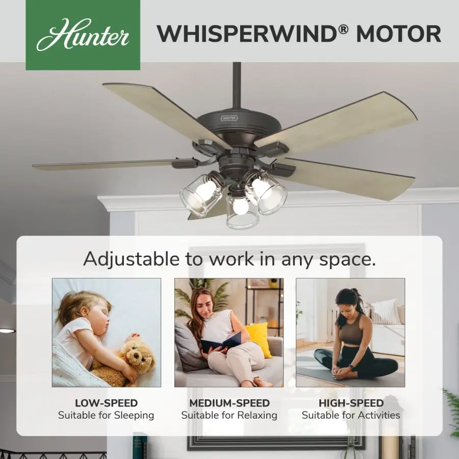 The Ceiling Fans by Hunter - Image 64