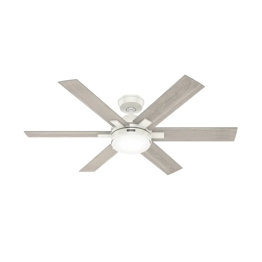 The Ceiling Fans by Hunter - Image 1