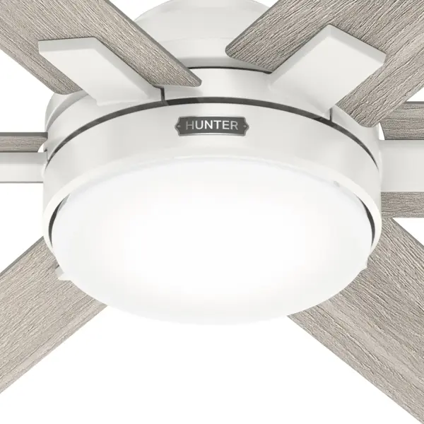 The Ceiling Fans by Hunter - Image 11