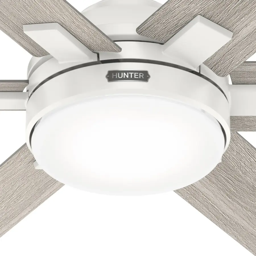 The Ceiling Fans by Hunter - Image 11
