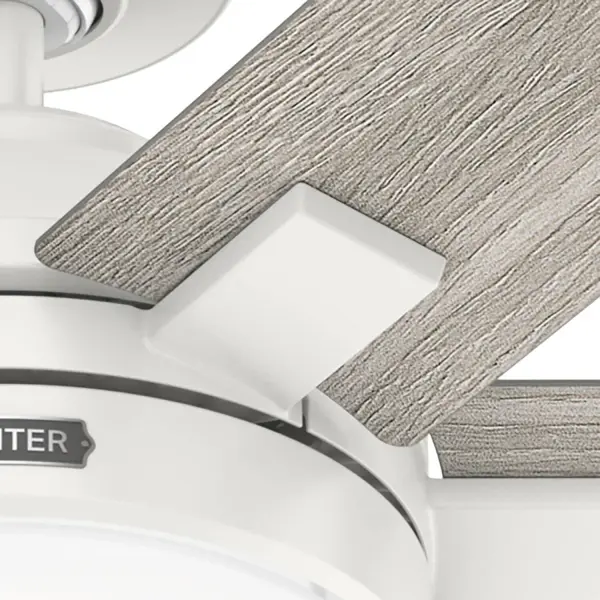 The Ceiling Fans by Hunter - Image 12