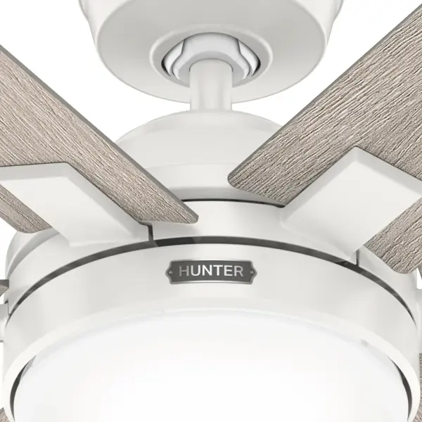 The Ceiling Fans by Hunter - Image 13