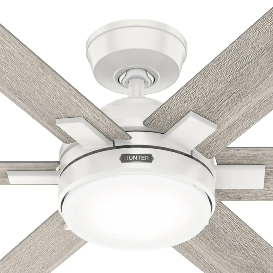 The Ceiling Fans by Hunter - Image 14