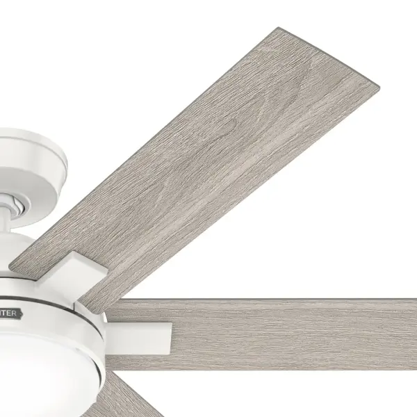 The Ceiling Fans by Hunter - Image 15
