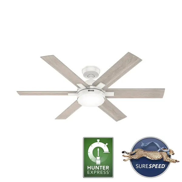 The Ceiling Fans by Hunter - Image 16