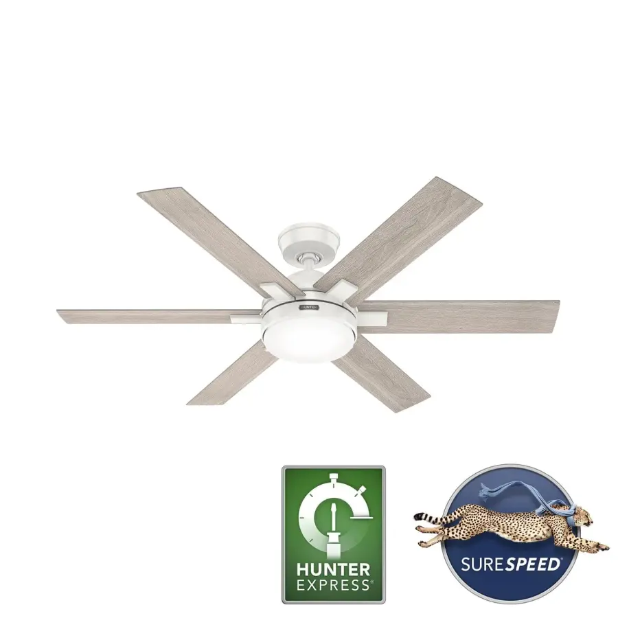 The Ceiling Fans by Hunter - Image 16