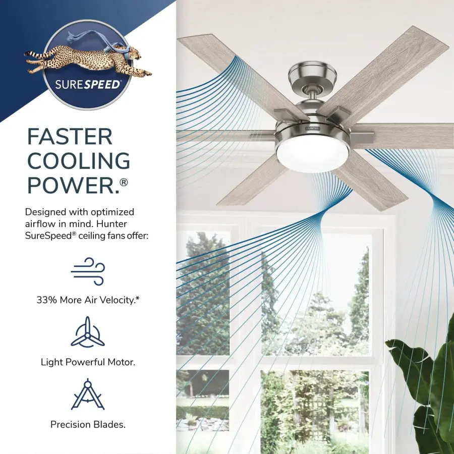 The Ceiling Fans by Hunter - Image 17