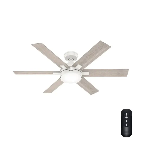 The Ceiling Fans by Hunter - Image 8