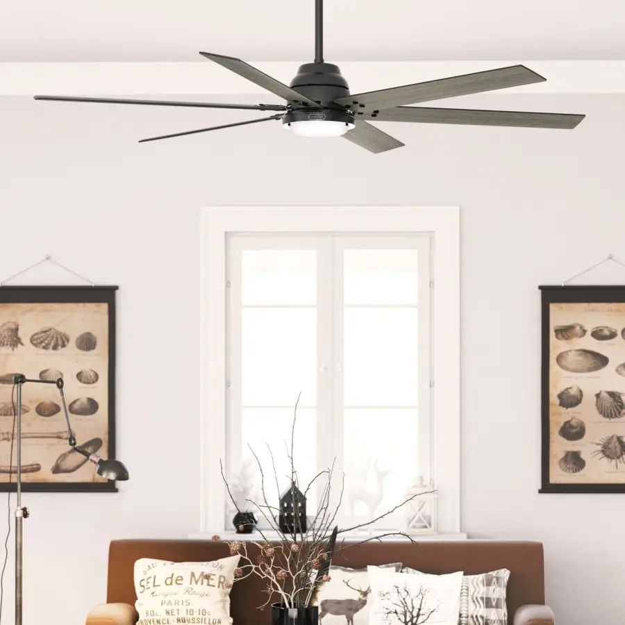 The Ceiling Fans by Hunter - Image 11
