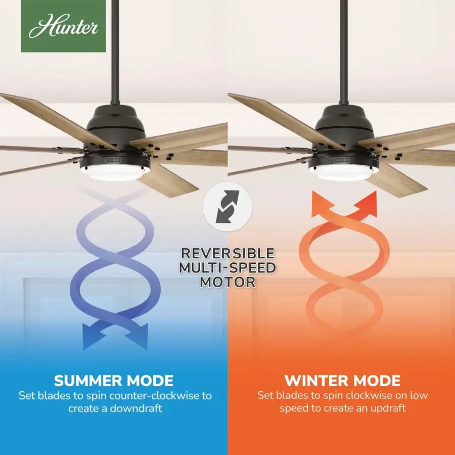 The Ceiling Fans by Hunter - Image 17