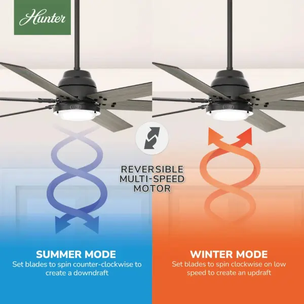 The Ceiling Fans by Hunter - Image 18