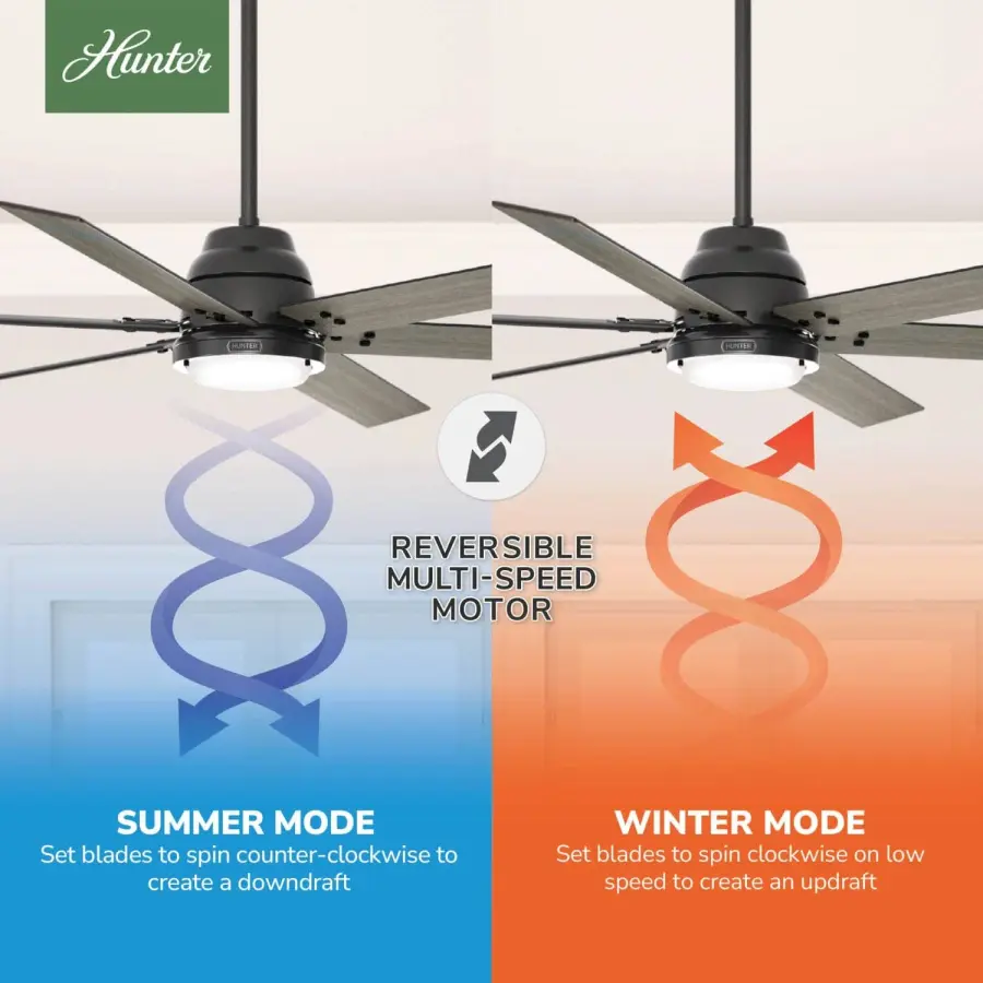 The Ceiling Fans by Hunter - Image 18