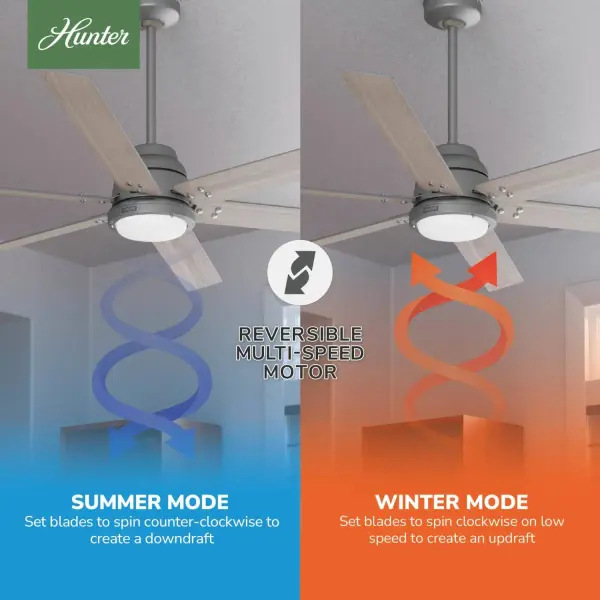 The Ceiling Fans by Hunter - Image 19