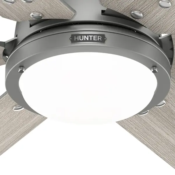 The Ceiling Fans by Hunter - Image 31