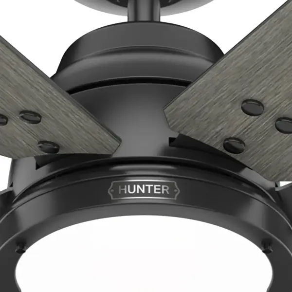 The Ceiling Fans by Hunter - Image 36
