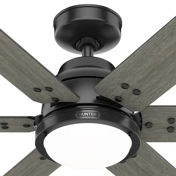 The Ceiling Fans by Hunter - Image 39