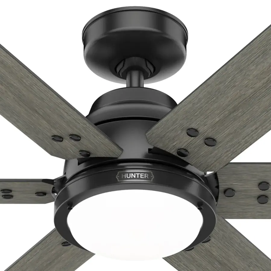 The Ceiling Fans by Hunter - Image 39
