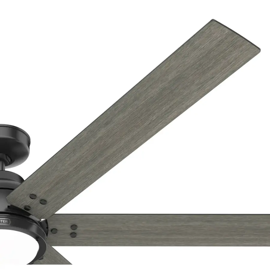 The Ceiling Fans by Hunter - Image 42