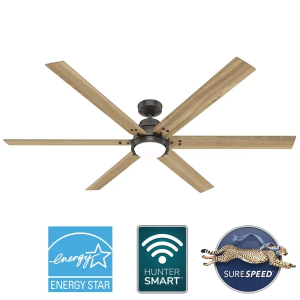 The Ceiling Fans by Hunter - Image 44