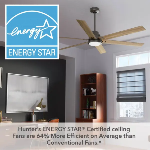 The Ceiling Fans by Hunter - Image 47