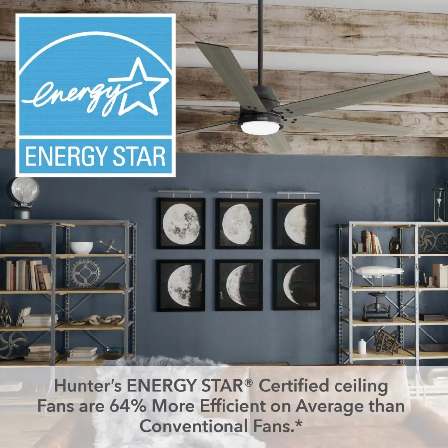 The Ceiling Fans by Hunter - Image 48