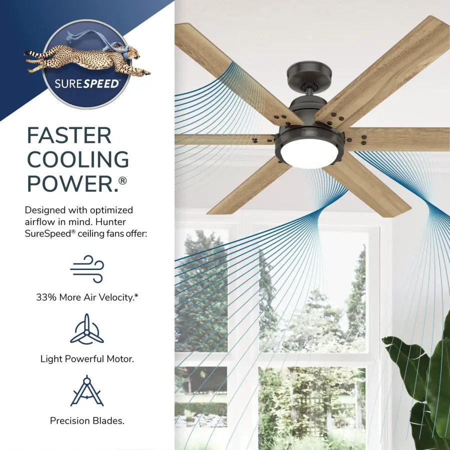 The Ceiling Fans by Hunter - Image 54