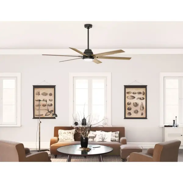 The Ceiling Fans by Hunter - Image 7