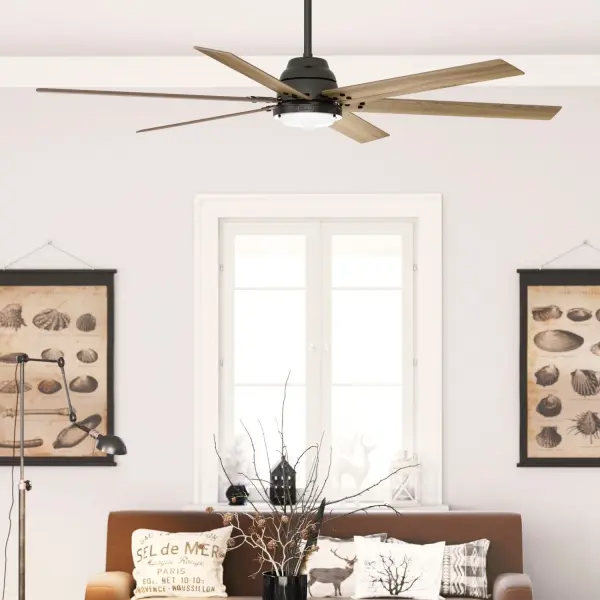 The Ceiling Fans by Hunter - Image 10