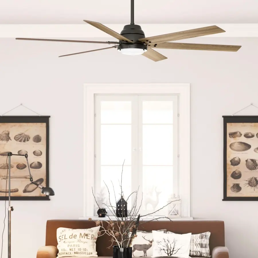 The Ceiling Fans by Hunter - Image 10