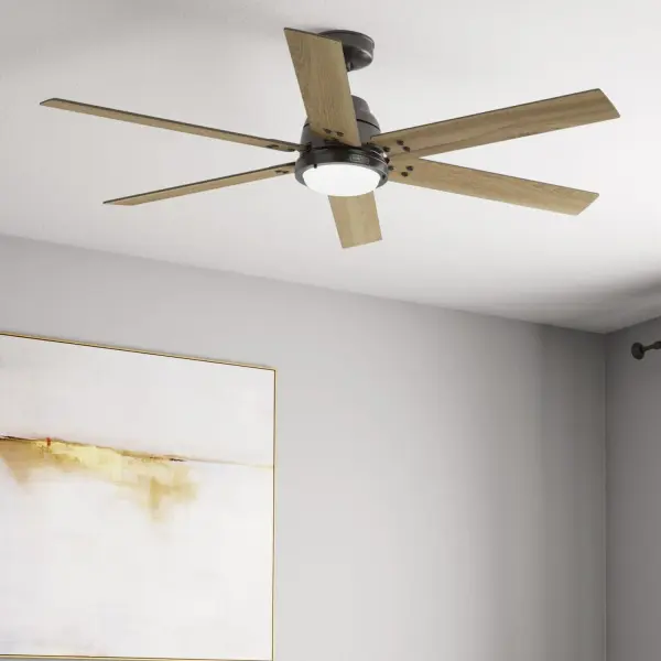 The Ceiling Fans by Hunter - Image 12