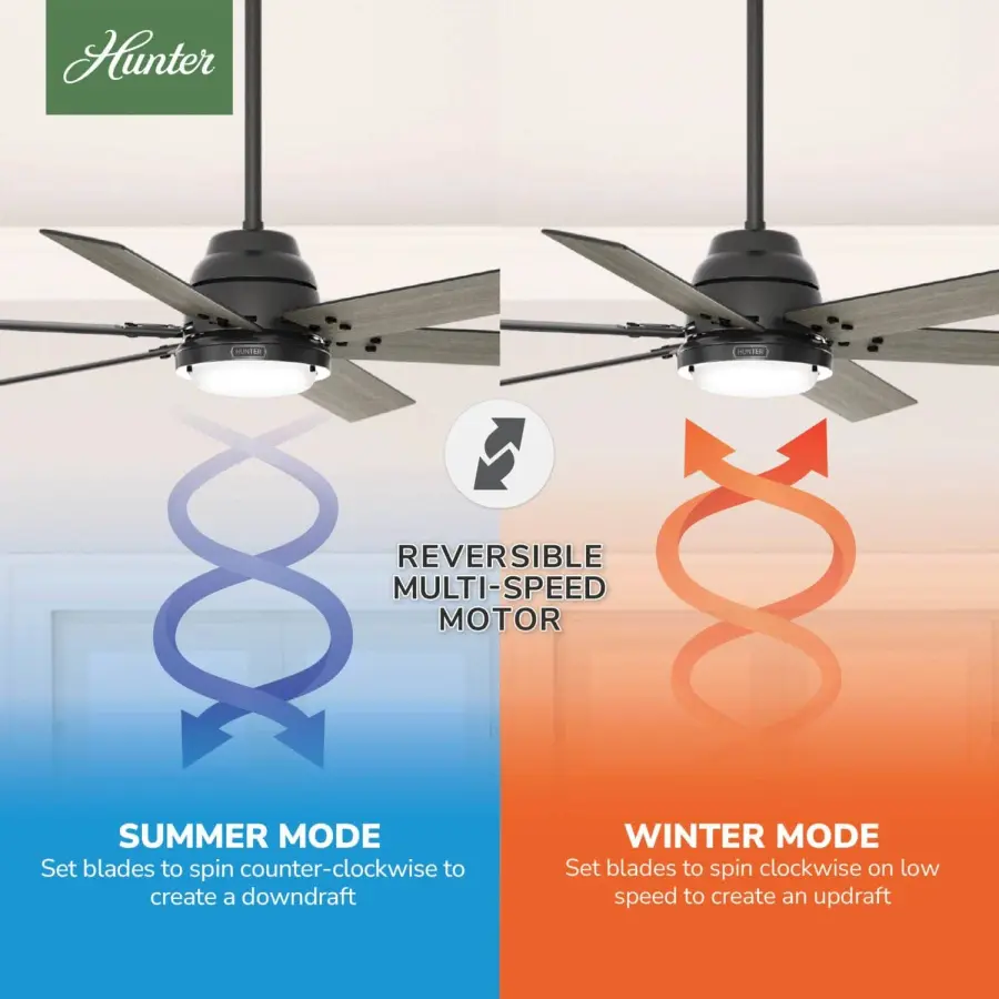 The Ceiling Fans by Hunter - Image 16