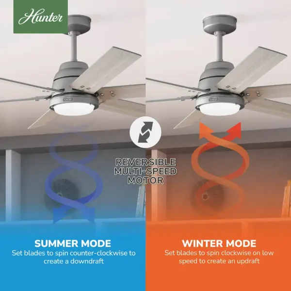The Ceiling Fans by Hunter - Image 17