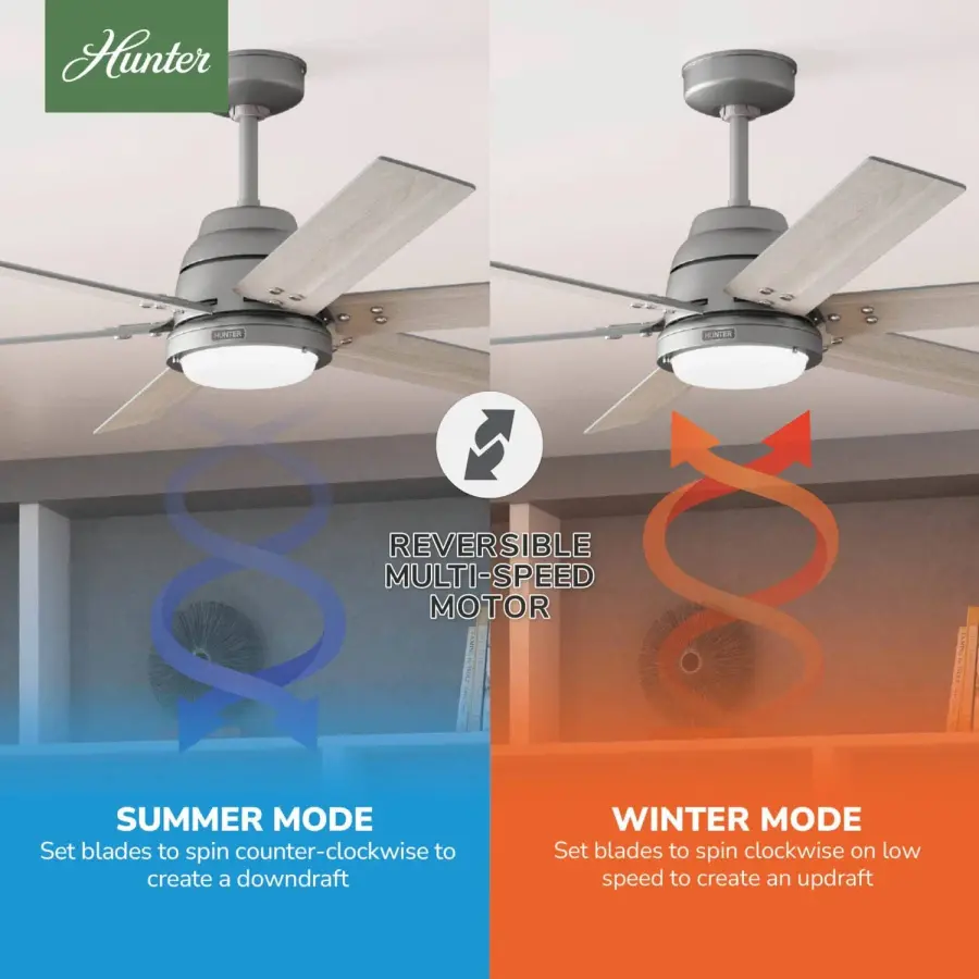 The Ceiling Fans by Hunter - Image 17