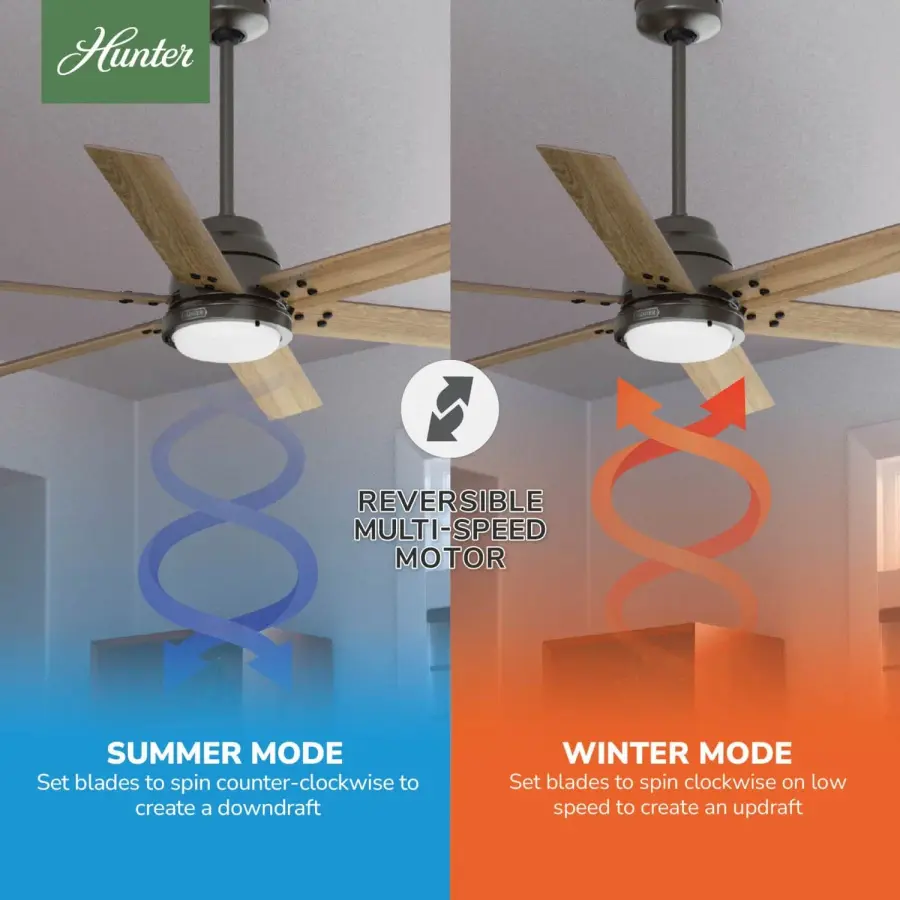 The Ceiling Fans by Hunter - Image 18