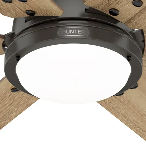 The Ceiling Fans by Hunter - Image 30